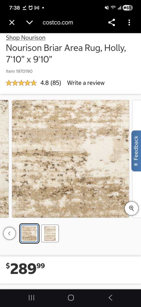 Nourison Briar Area Rug Holley 8ft × 10ft